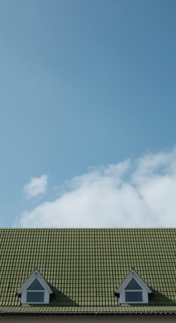 Groen dak met blauwe lucht - dakpannen leggen